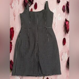 McGinn size 8 Elegant Navy and White Polka Dot Dress